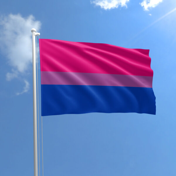 Bisexual Awareness Week